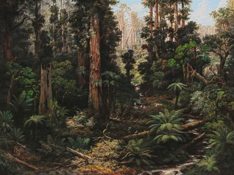 I Sassafras -dalen, Victoria